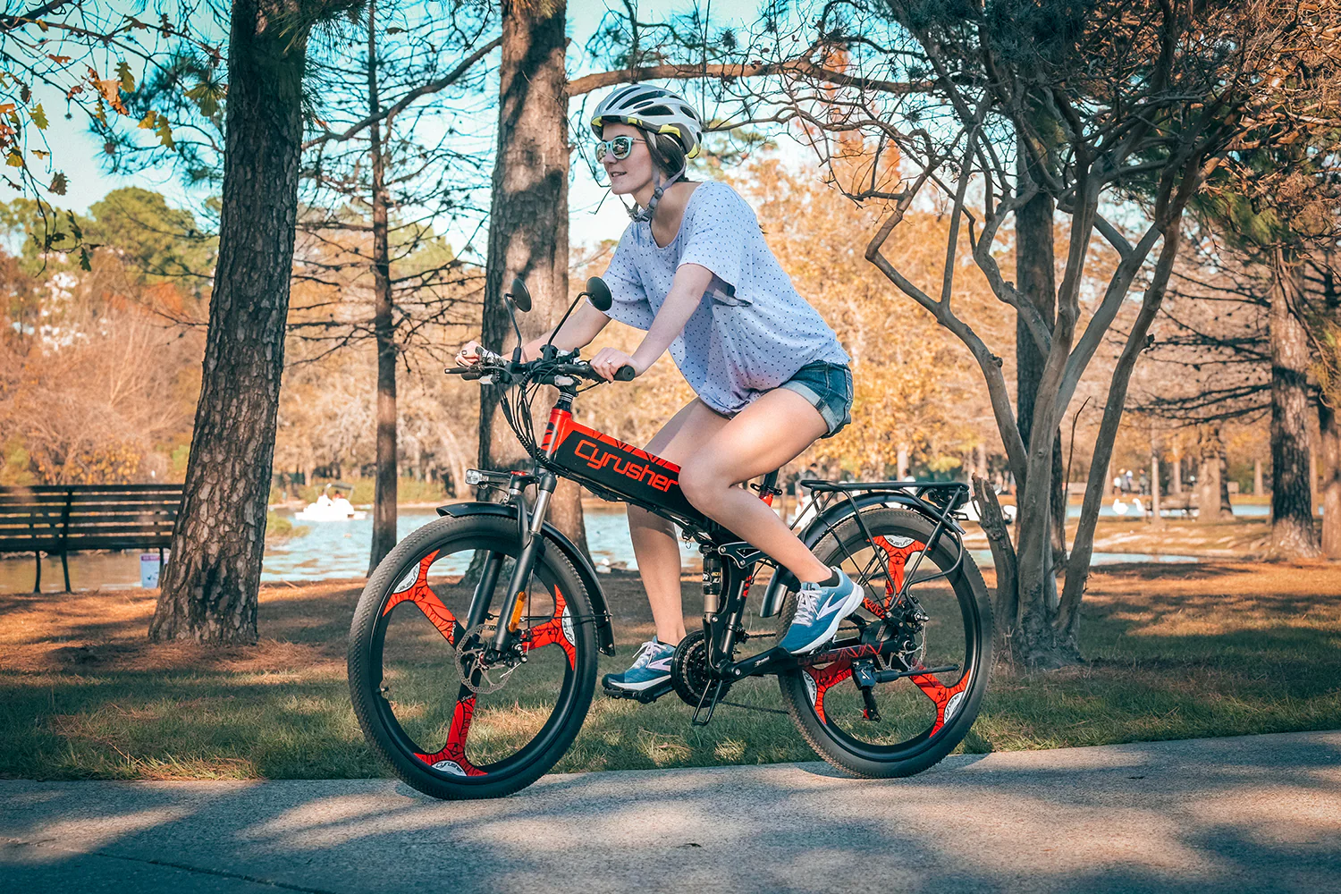 XF770  Faltrad Elektrofahrrad - Image 2